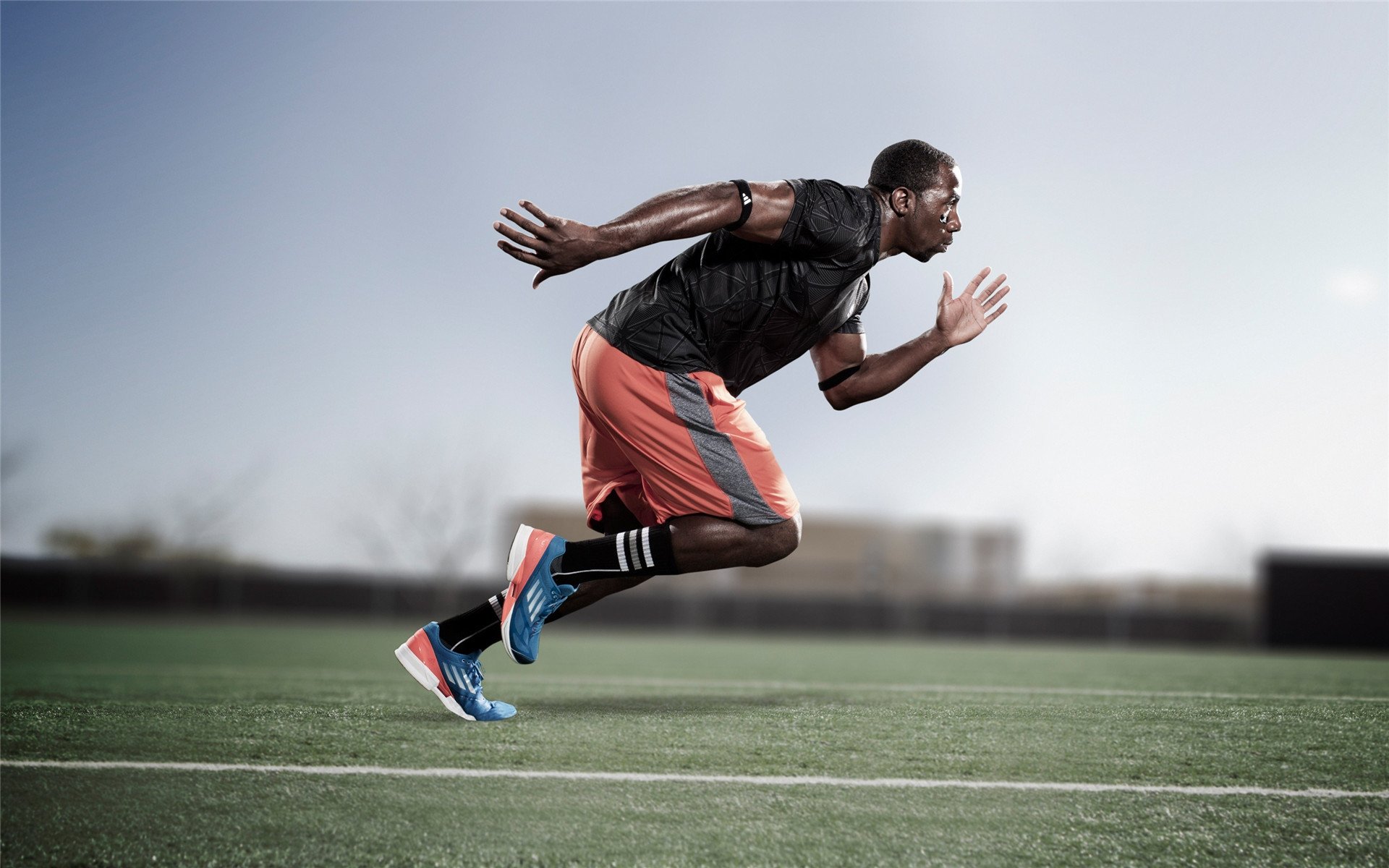 自由式滑雪赛事成绩突出,自由式滑雪世界锦标赛