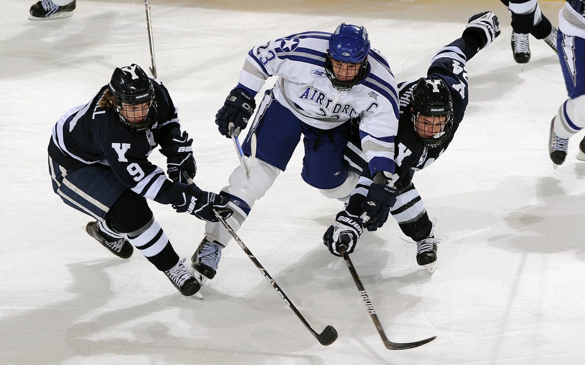 辽宁飞豹强化轮换体系保持高效输出,辽宁飞豹队服